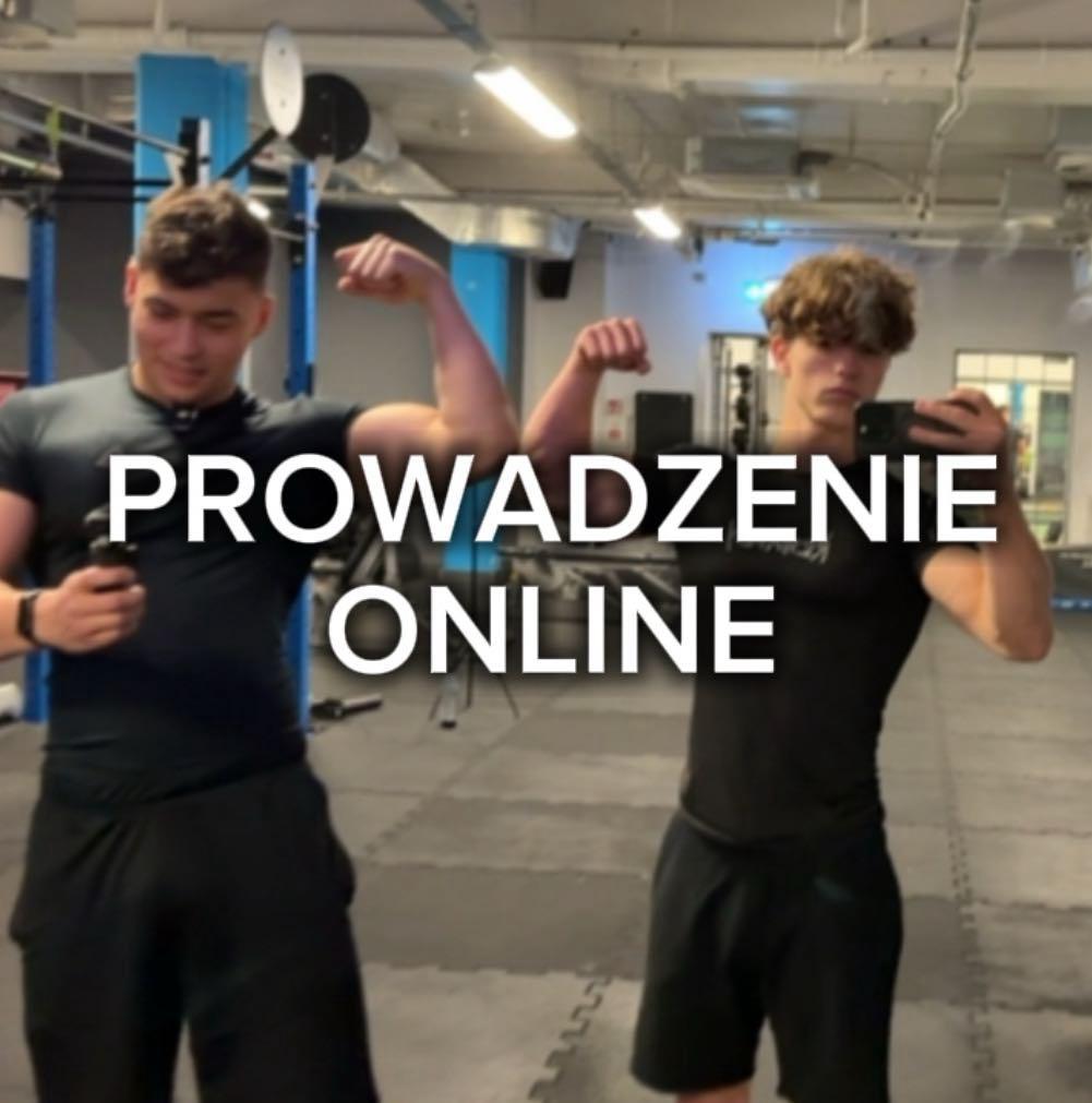 PROWADZENIE ONLINE + WYBRANY PLAN TRENINGOWY